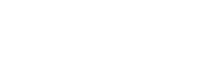 Corporate Innovation Strategy